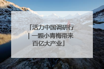 活力中国调研行｜一颗小青梅带来百亿大产业