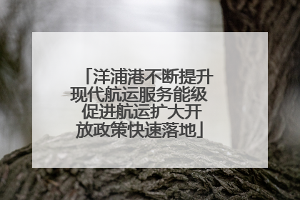 洋浦港不断提升现代航运服务能级 促进航运扩大开放政策快速落地