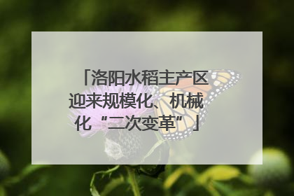 洛阳水稻主产区迎来规模化、机械化“二次变革”