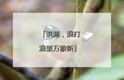 洪湖，浪打浪里万象新
