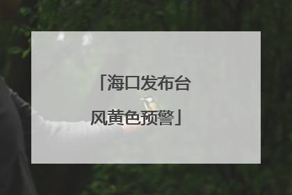 海口发布台风黄色预警