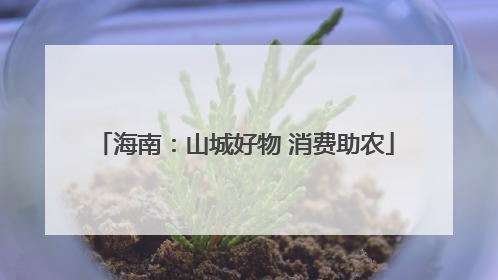 海南：山城好物 消费助农