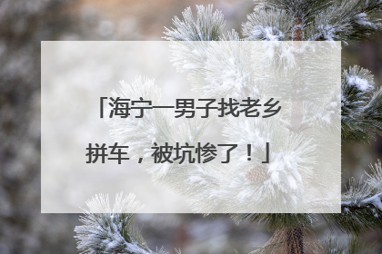 海宁一男子找老乡拼车，被坑惨了！