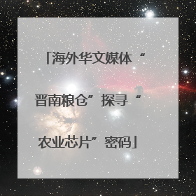 海外华文媒体“晋南粮仓”探寻“农业芯片”密码