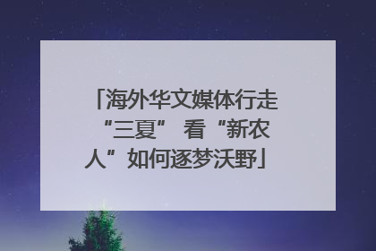 海外华文媒体行走“三夏” 看“新农人”如何逐梦沃野