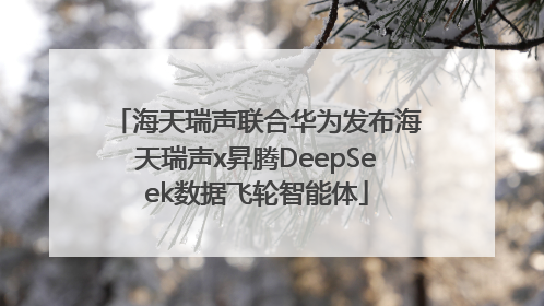 海天瑞声联合华为发布海天瑞声x昇腾DeepSeek数据飞轮智能体