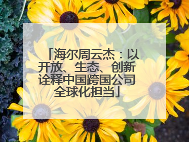 海尔周云杰：以开放、生态、创新诠释中国跨国公司全球化担当