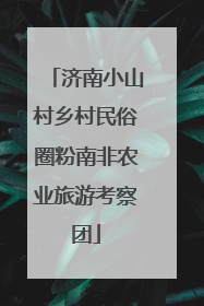 济南小山村乡村民俗圈粉南非农业旅游考察团