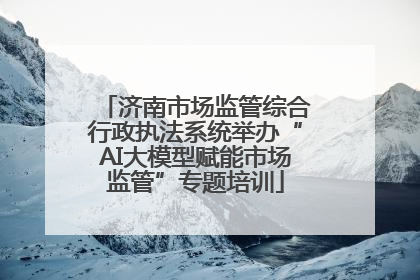 济南市场监管综合行政执法系统举办“AI大模型赋能市场监管”专题培训