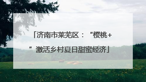 济南市莱芜区：“樱桃+”激活乡村夏日甜蜜经济