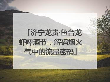 济宁龙贵·鱼台龙虾啤酒节，解码烟火气中的流量密码