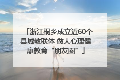 浙江桐乡成立近60个县域教联体 做大心理健康教育“朋友圈”