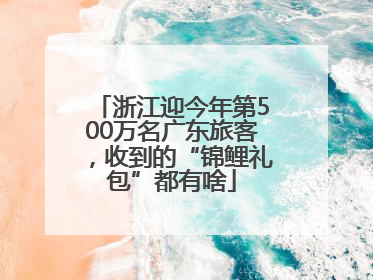 浙江迎今年第500万名广东旅客，收到的“锦鲤礼包”都有啥