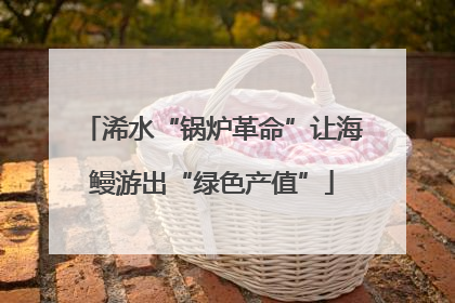浠水“锅炉革命”让海鳗游出“绿色产值”