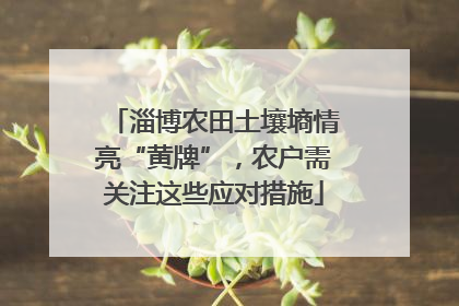 淄博农田土壤墒情亮“黄牌”，农户需关注这些应对措施