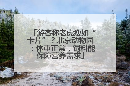 游客称老虎瘦如“卡片”？北京动物园：体重正常，饲料能保障营养需求