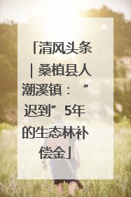 清风头条｜桑植县人潮溪镇：“迟到”5年的生态林补偿金