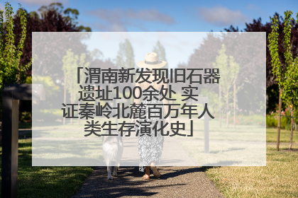 渭南新发现旧石器遗址100余处 实证秦岭北麓百万年人类生存演化史