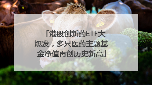 港股创新药ETF大爆发，多只医药主题基金净值再创历史新高
