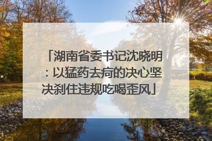 湖南省委书记沈晓明：以猛药去疴的决心坚决刹住违规吃喝歪风