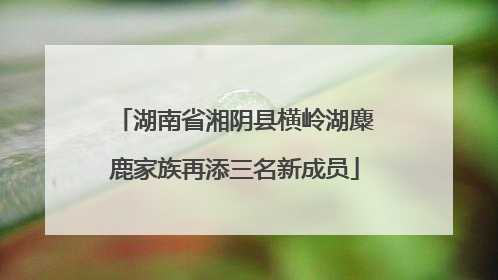 湖南省湘阴县横岭湖麋鹿家族再添三名新成员