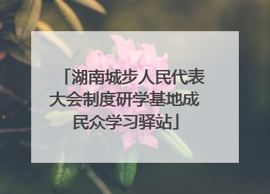 湖南城步人民代表大会制度研学基地成民众学习驿站