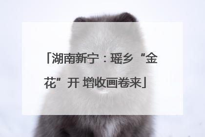 湖南新宁：瑶乡“金花”开 增收画卷来
