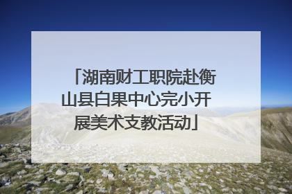 湖南财工职院赴衡山县白果中心完小开展美术支教活动