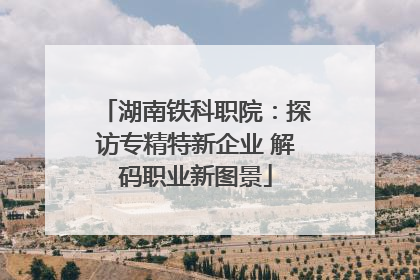 湖南铁科职院：探访专精特新企业 解码职业新图景