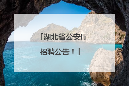 湖北省公安厅招聘公告！