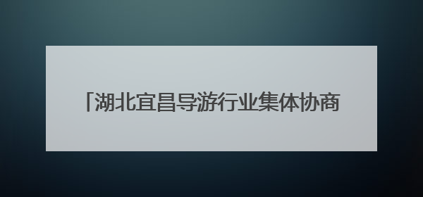 湖北宜昌导游行业集体协商落地 带团补贴标准提升