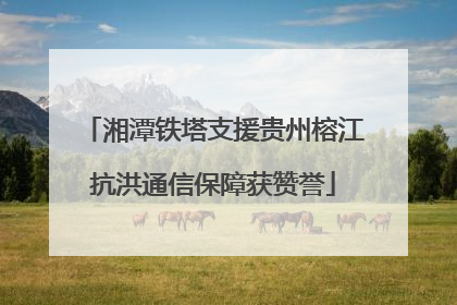 湘潭铁塔支援贵州榕江抗洪通信保障获赞誉