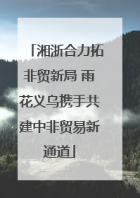 湘浙合力拓非贸新局 雨花义乌携手共建中非贸易新通道