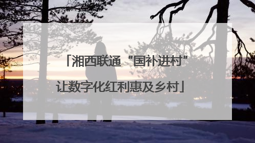 湘西联通“国补进村”让数字化红利惠及乡村