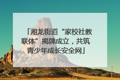 湘龙街道“家校社教联体”揭牌成立，共筑青少年成长安全网