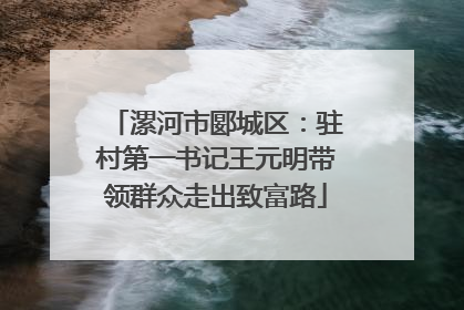 漯河市郾城区：驻村第一书记王元明带领群众走出致富路