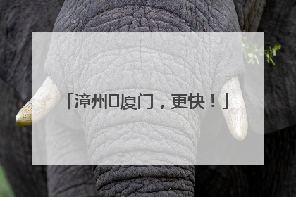 漳州⇋厦门，更快！