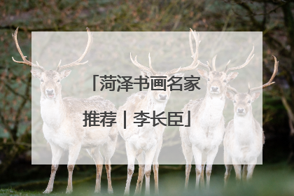 菏泽书画名家推荐｜李长臣