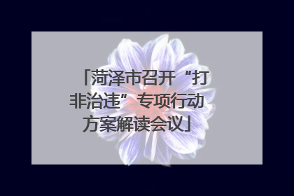 菏泽市召开“打非治违”专项行动方案解读会议