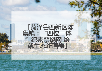 菏泽鲁西新区陈集镇：“四位一体”织密禁烧网 绘就生态新画卷