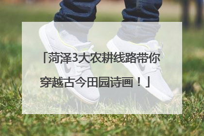 菏泽3大农耕线路带你穿越古今田园诗画！