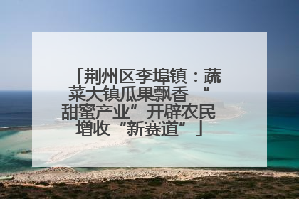 荆州区李埠镇：蔬菜大镇瓜果飘香 “甜蜜产业”开辟农民增收“新赛道”