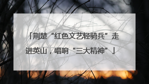 荆楚“红色文艺轻骑兵”走进英山，唱响“三大精神”