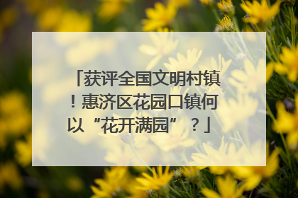 获评全国文明村镇！惠济区花园口镇何以“花开满园”？