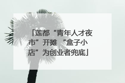 莲都“青年人才夜市”开摊 “盒子小店”为创业者兜底