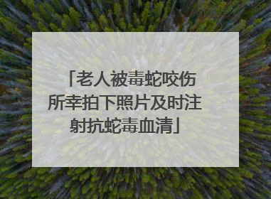 老人被毒蛇咬伤 所幸拍下照片及时注射抗蛇毒血清