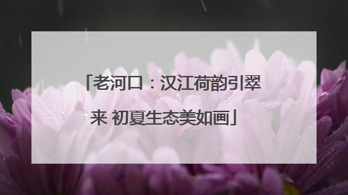 老河口：汉江荷韵引翠来 初夏生态美如画