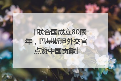 联合国成立80周年，巴基斯坦外交官点赞中国贡献