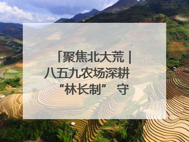聚焦北大荒｜八五九农场深耕“林长制” 守护“生态绿”