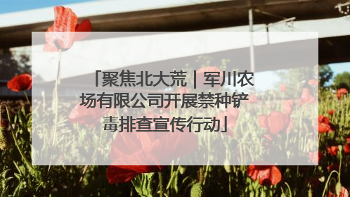 聚焦北大荒｜军川农场有限公司开展禁种铲毒排查宣传行动